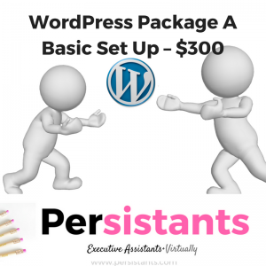 wordpress package a basic set up