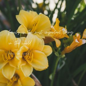 Yellow Flowers Inspirational Instagram Quotes - Persistants