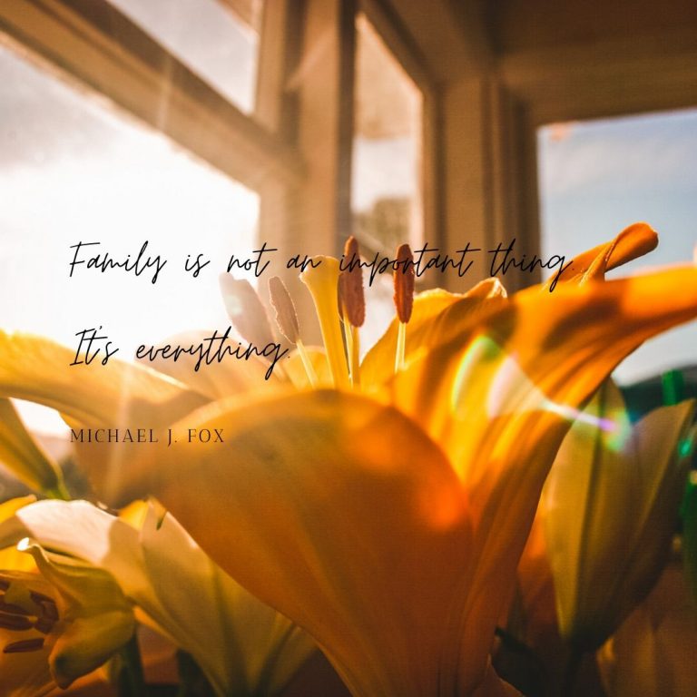 Yellow Flowers Inspirational Instagram Quotes Persistants