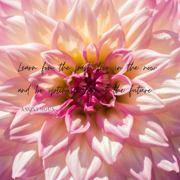 Pink Flowers Collection of Pre made Inspirational Quotes