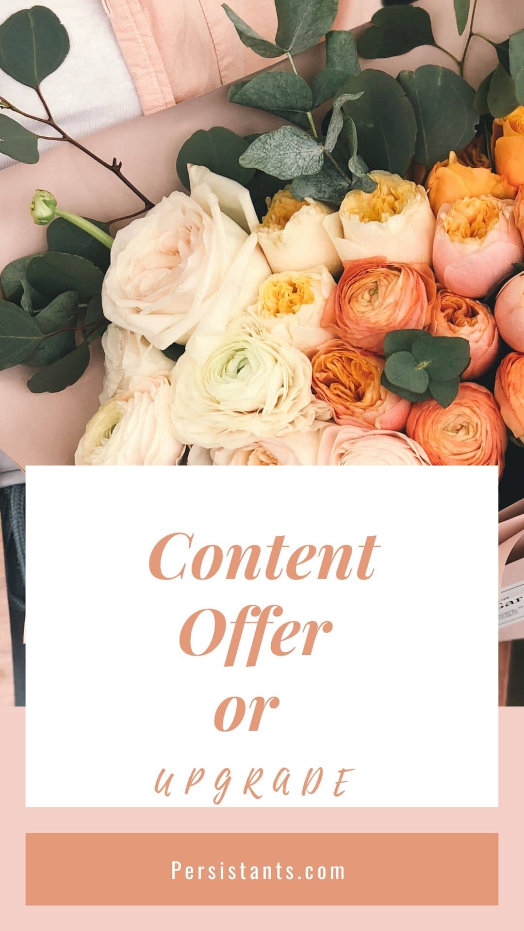 Content Offer or Content Shame