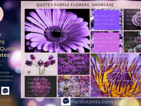Purple Flower Inspirational Quotes 10 pack