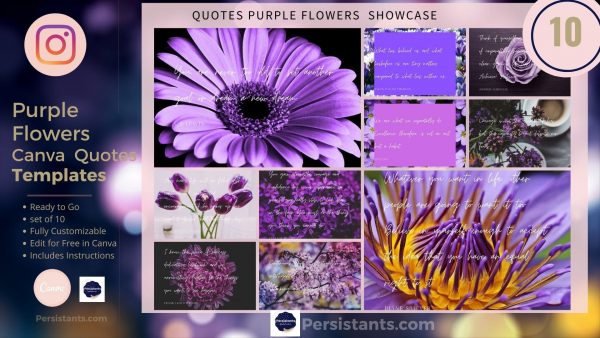 Purple Flower Inspirational Quotes 10 pack