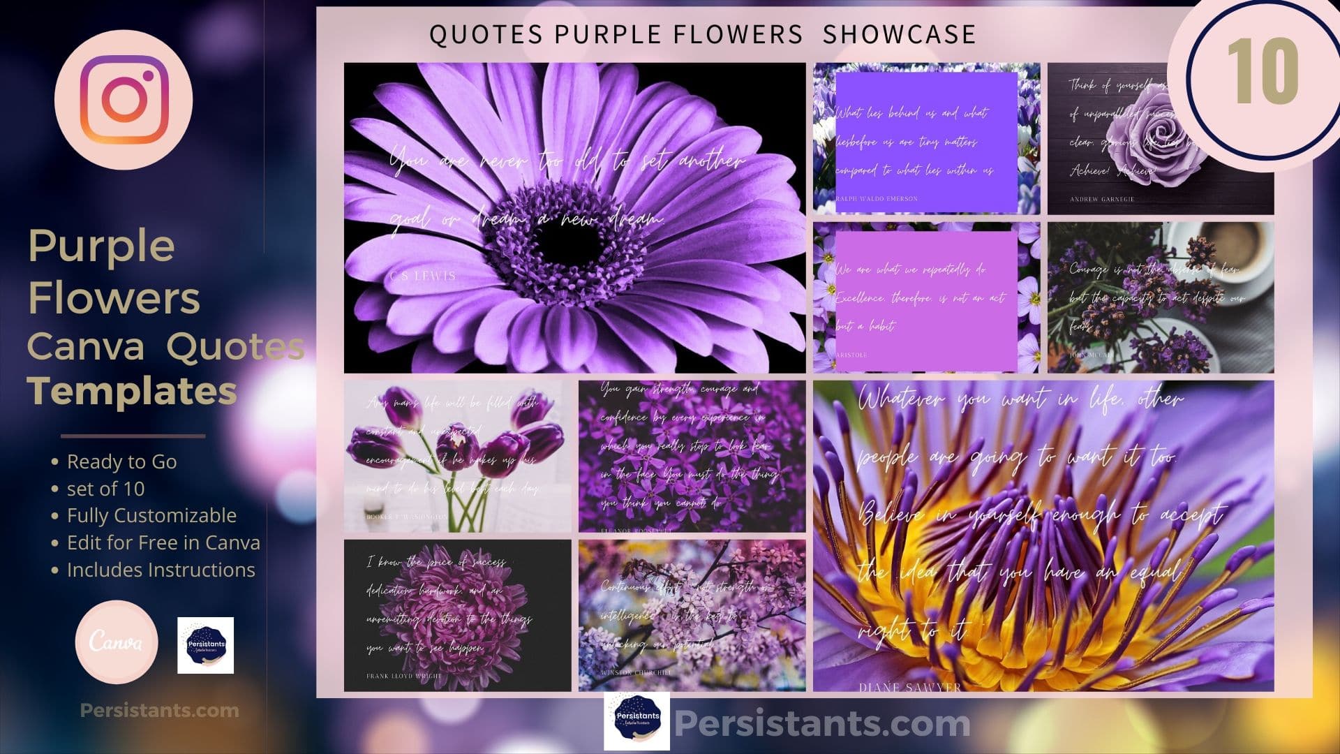 Purple Flowers Inspirational Instagram Quotes | Social Media Quotes