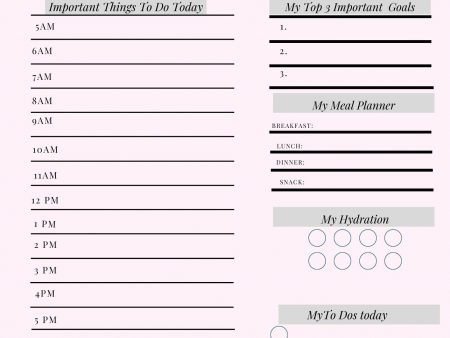 Persistants Simple Daily Planner