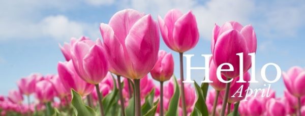 Hello Month with Pretty Pink Tulips facebook banner