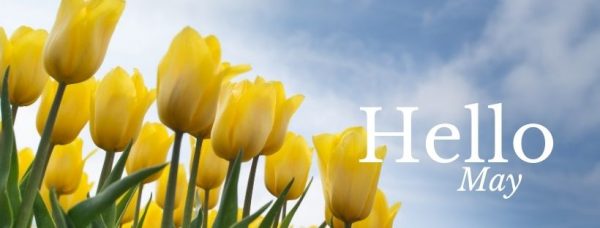 Hello Month with Pretty Yellow Tulips facebook banner