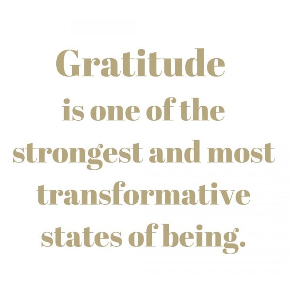 gratitude is one of teh strngest and most transformative states of being quote