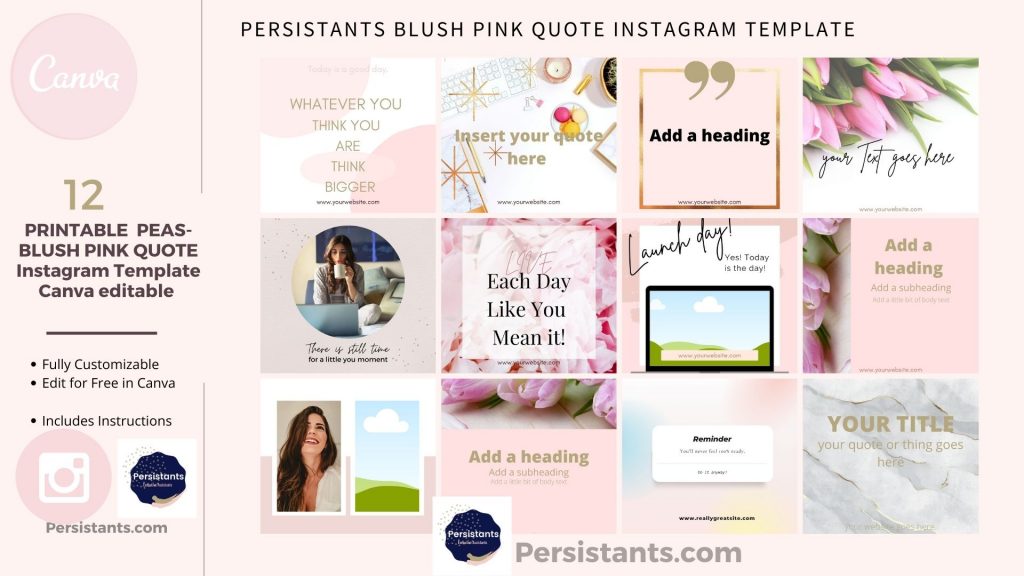 Blush Pink & Gold Instagram Canva Editable Templates - Persistants